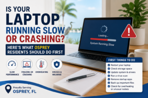 Computer Repair in Osprey